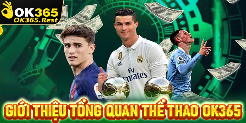 Giới thiệu tổng quan chung về thể thao OK365